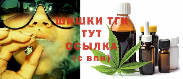 тгк Богородицк