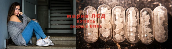 индика Богданович