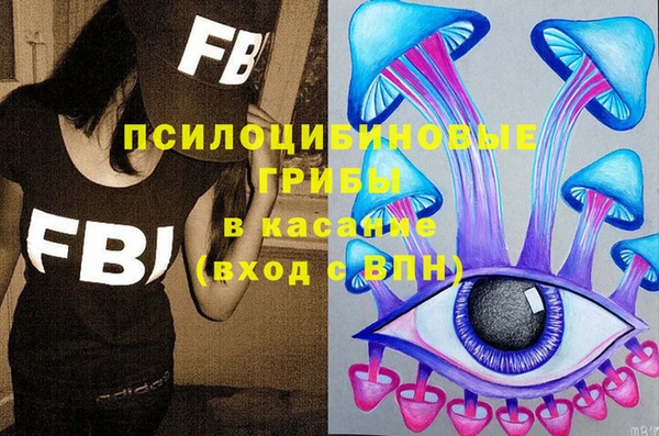 тгк Богородицк