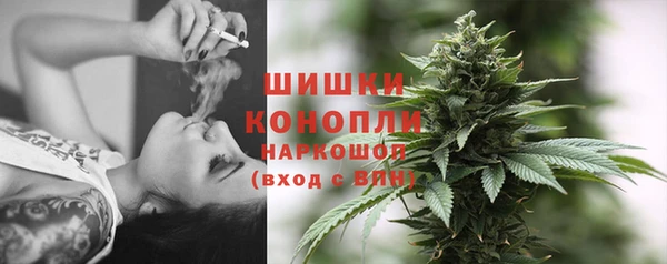 индика Богданович