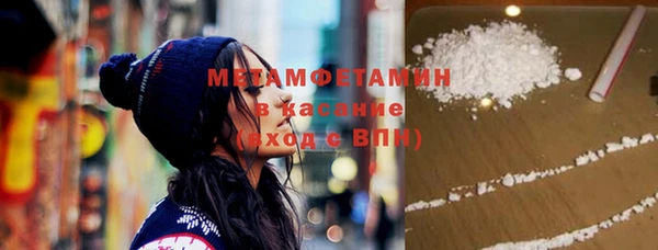 индика Богданович