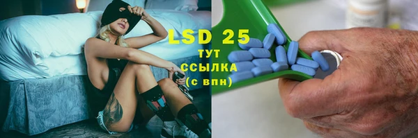 индика Богданович