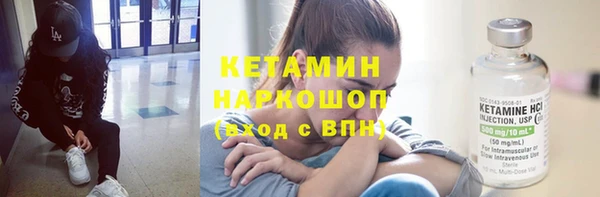 индика Богданович