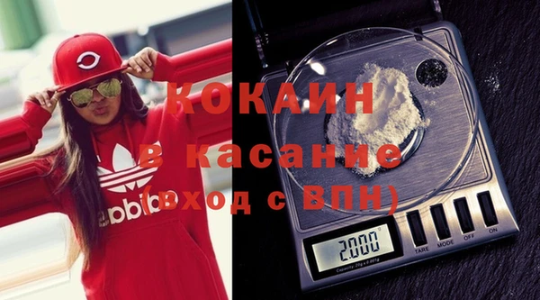 индика Богданович