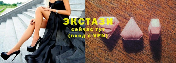 индика Богданович
