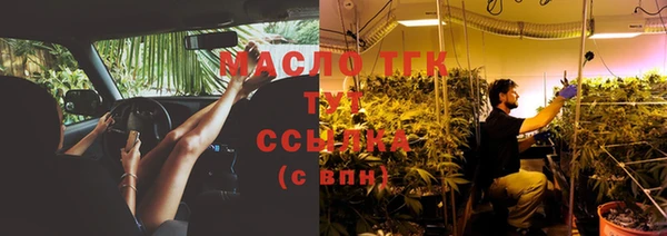 индика Богданович