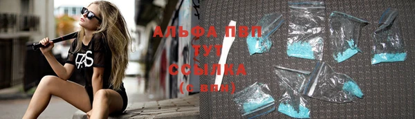 индика Богданович