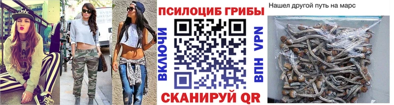 Псилоцибиновые грибы Cubensis  Назарово 